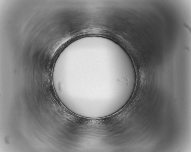 X0000103911166200810031206
