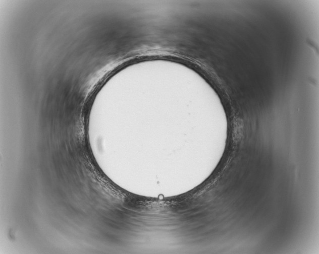 X0000103911167200810031206