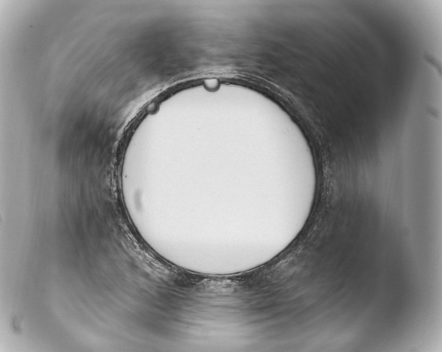 X0000103911168200810031206
