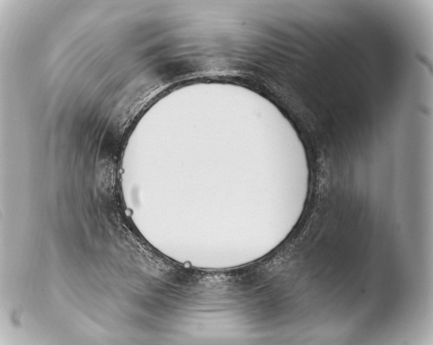 X0000103911169200810031206