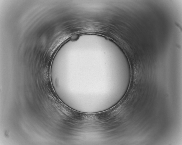 X0000103911170200810031206