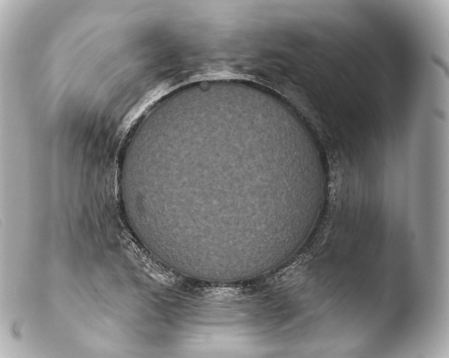 X0000103911173200810031206