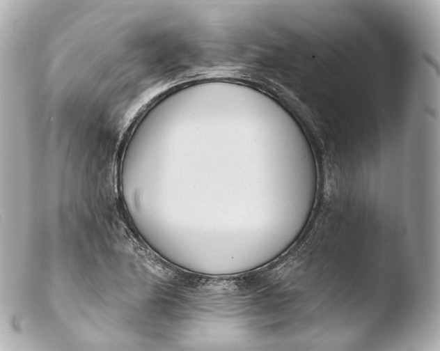 X0000103911174200810031205