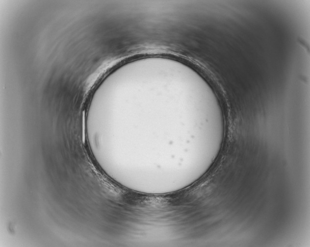 X0000103911175200810031205