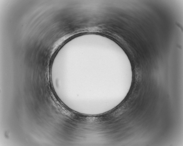 X0000103911176200810031205