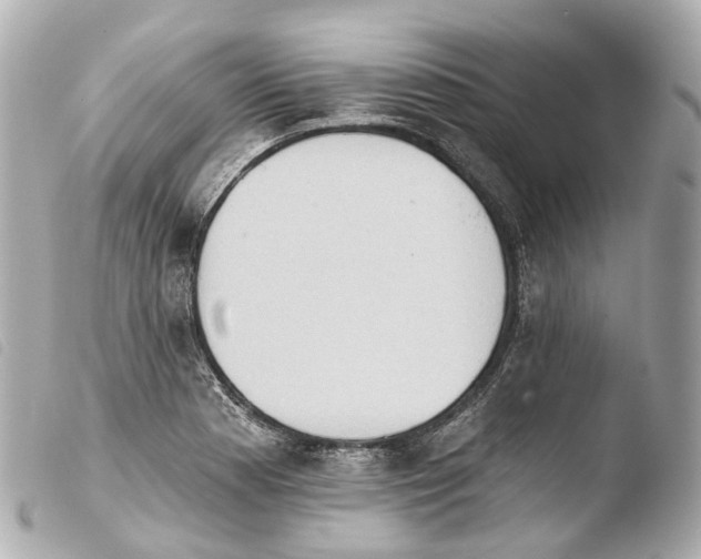 X0000103911177200810031205