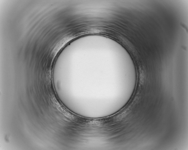 X0000103911178200810031205