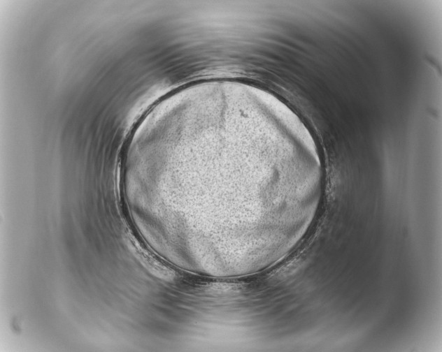X0000103911179200810031205