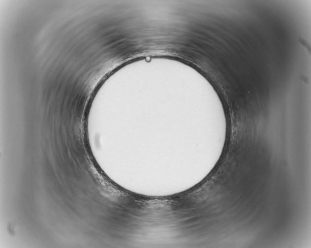 X0000103911181200810031205