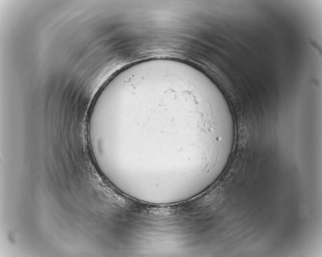 X0000103911182200810031205