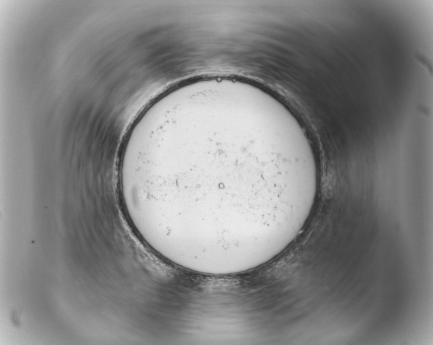 X0000103911183200810031205
