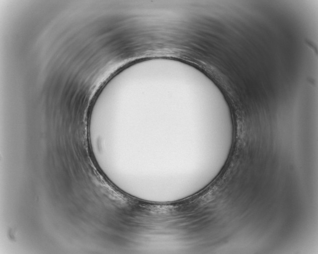 X0000103911184200810031205