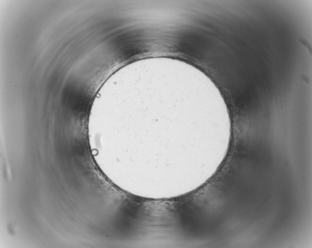 X0000103911185200810031205