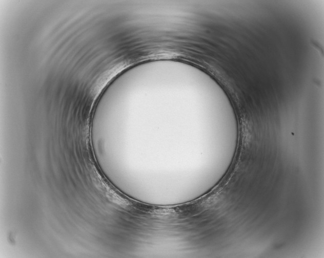 X0000103911186200810031205