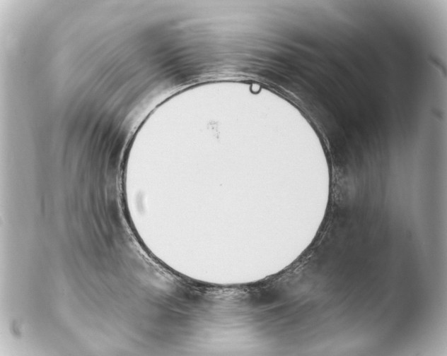 X0000103911187200810031205