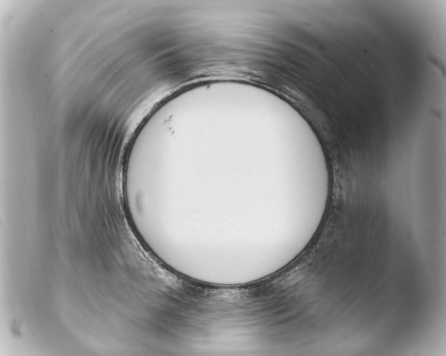 X0000103911188200810031205