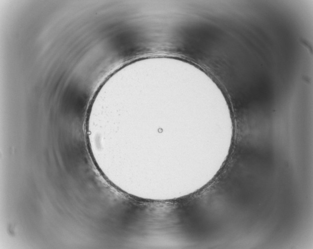 X0000103911189200810031205