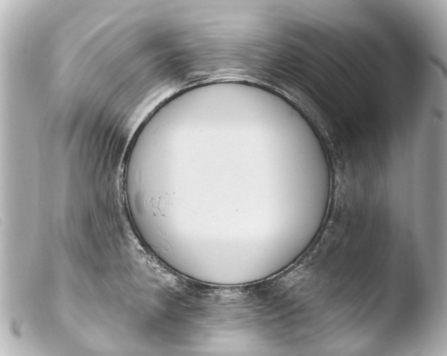 X0000103911190200810031205