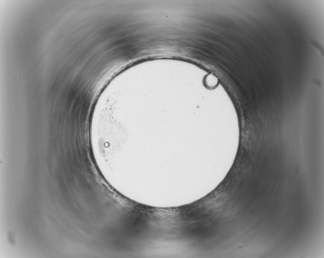 X0000103911191200810031205