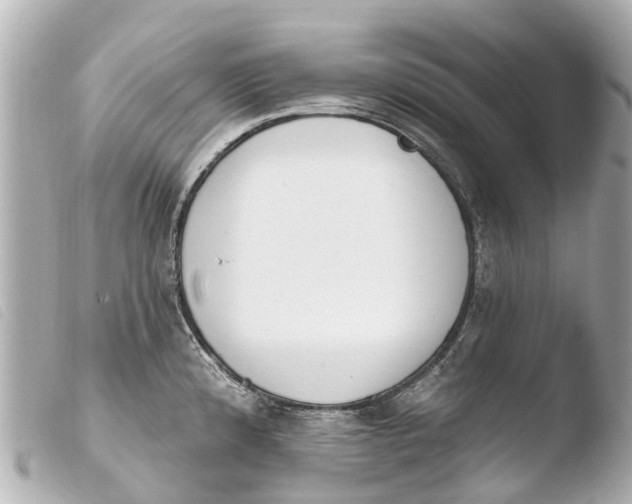 X0000103911192200810031205