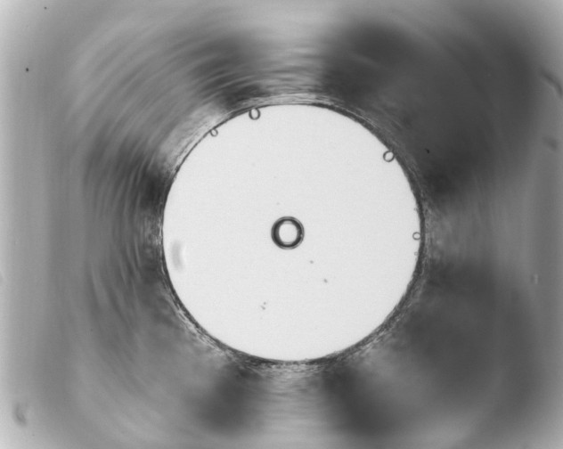 X0000103911193200810031205