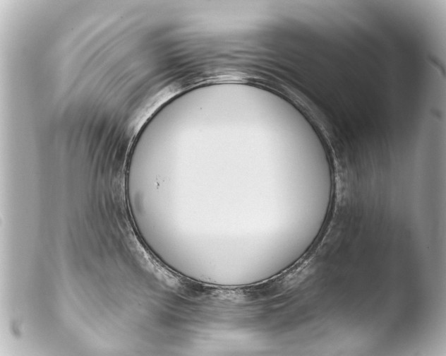 X0000103911194200810031205