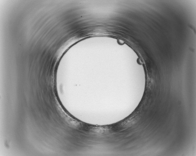 X0000103911195200810031205