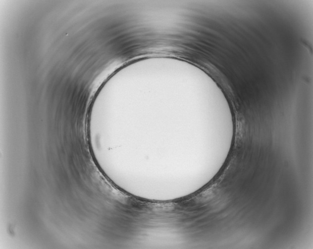 X0000103911196200810031205