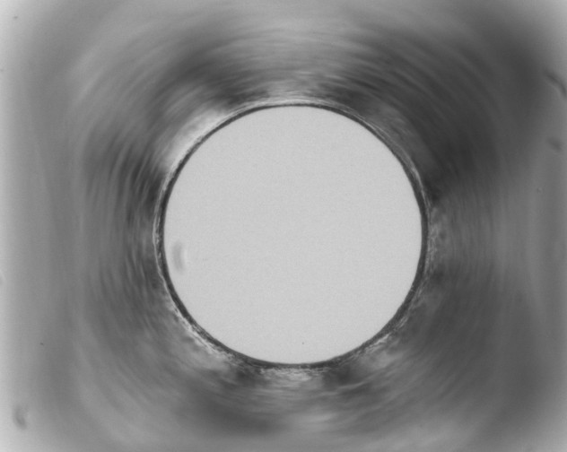 X0000103911197200810031205