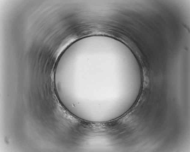 X0000103911198200810031205
