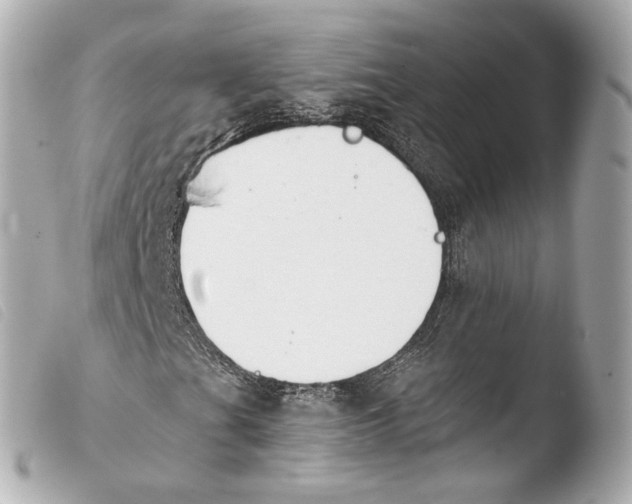 X0000103911201200810031204