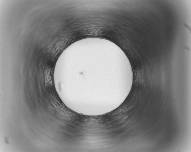 X0000103911202200810031204