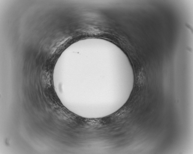 X0000103911205200810031205