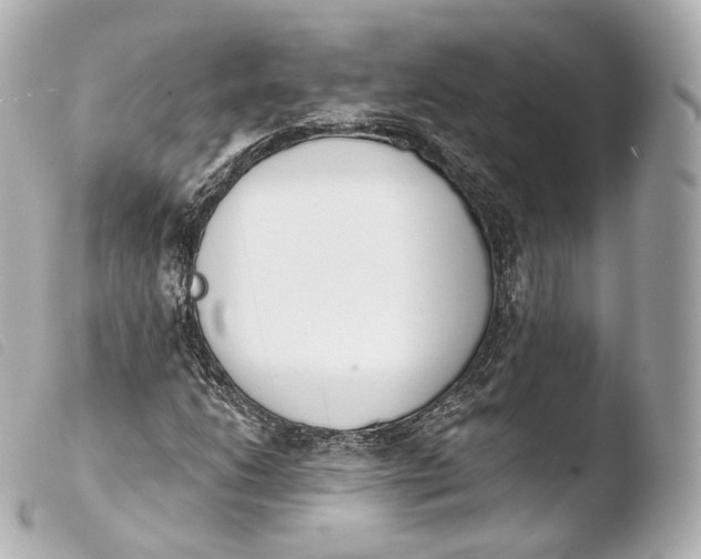 X0000103911206200810031205