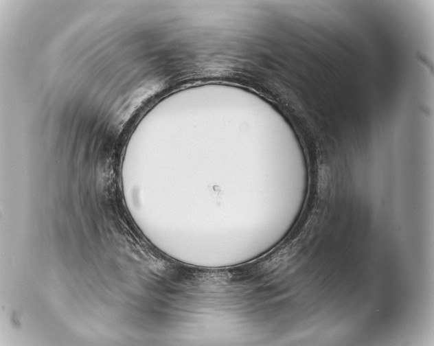 X0000103911210200810031205