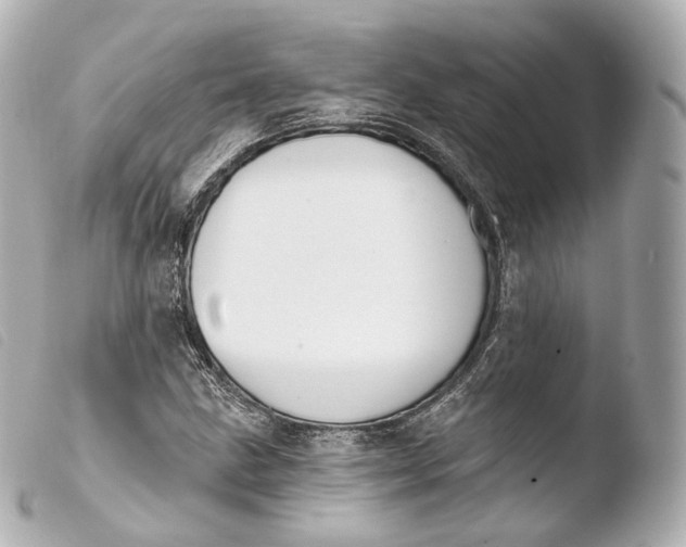 X0000103911211200810031205