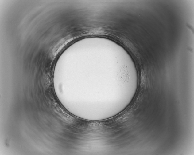 X0000103911212200810031205