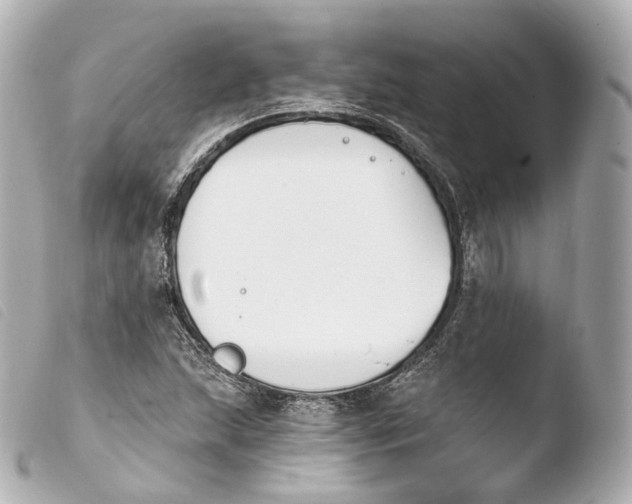 X0000103911215200810031205