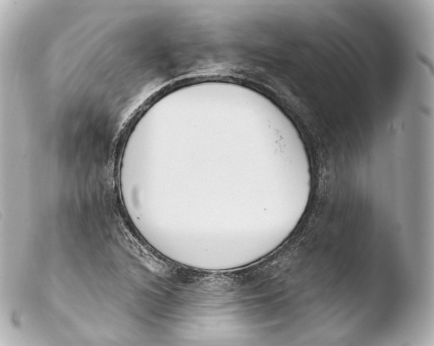 X0000103911216200810031205