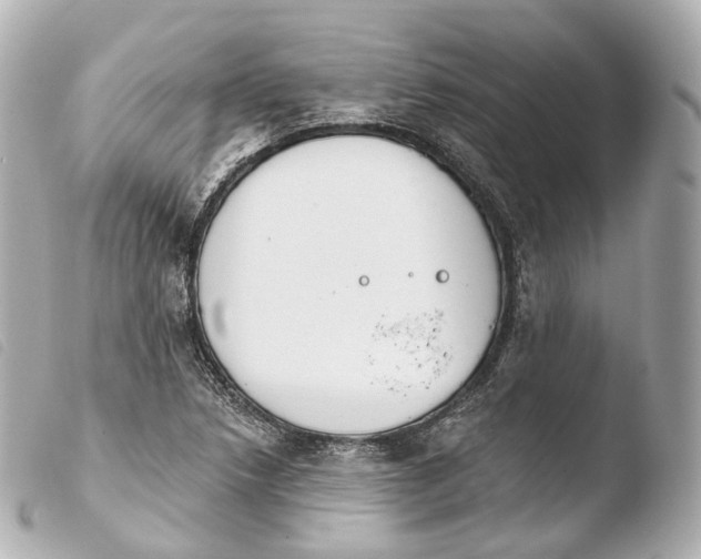 X0000103911218200810031205
