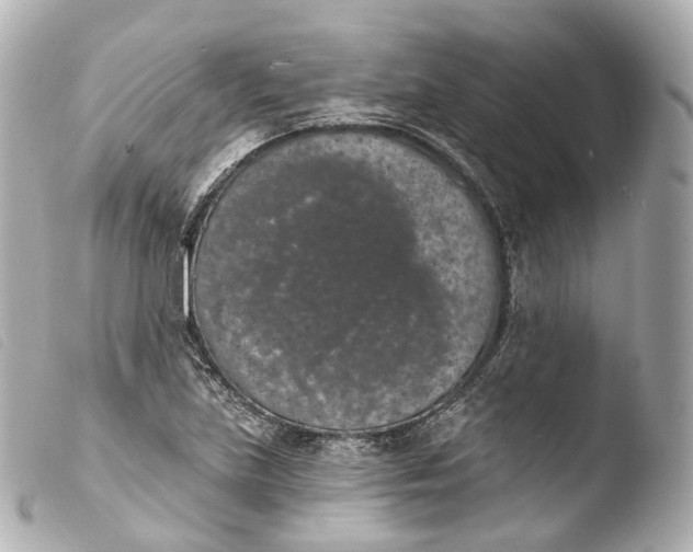 X0000103911219200810031205