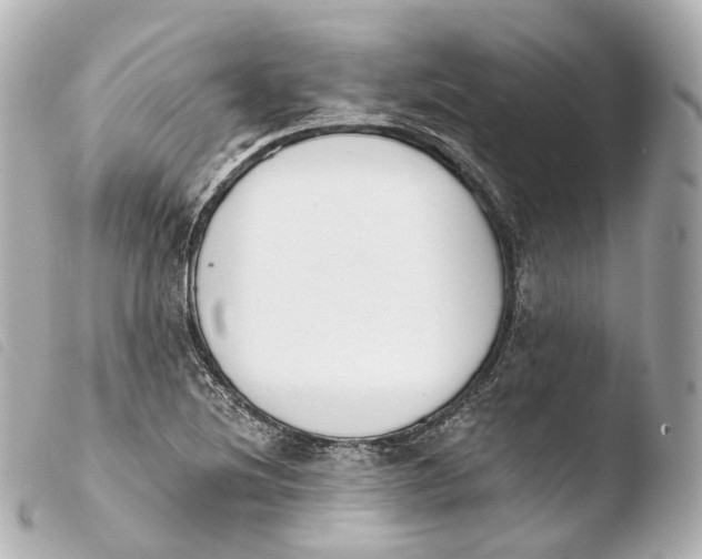 X0000103911220200810031205