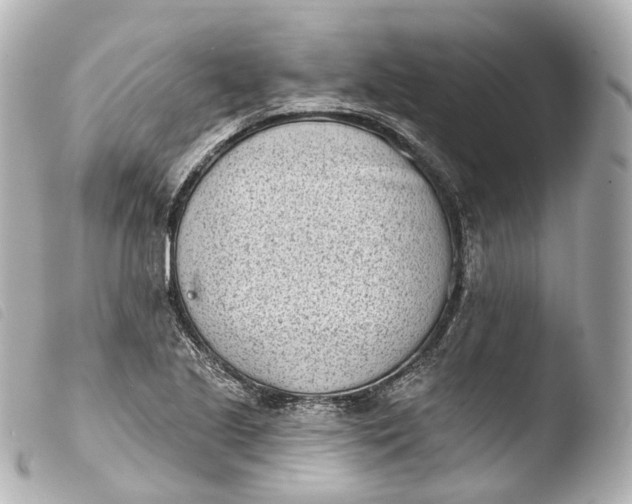 X0000103911221200810031205