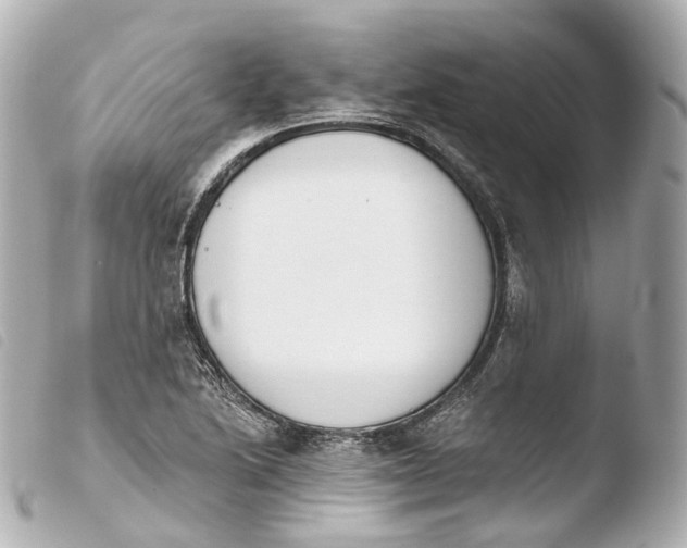 X0000103911222200810031205