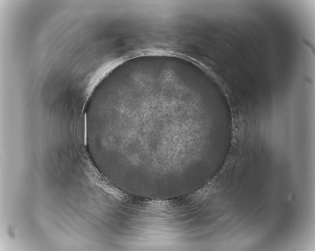 X0000103911223200810031205