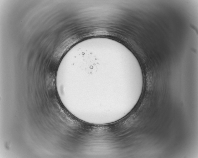 X0000103911225200810031205