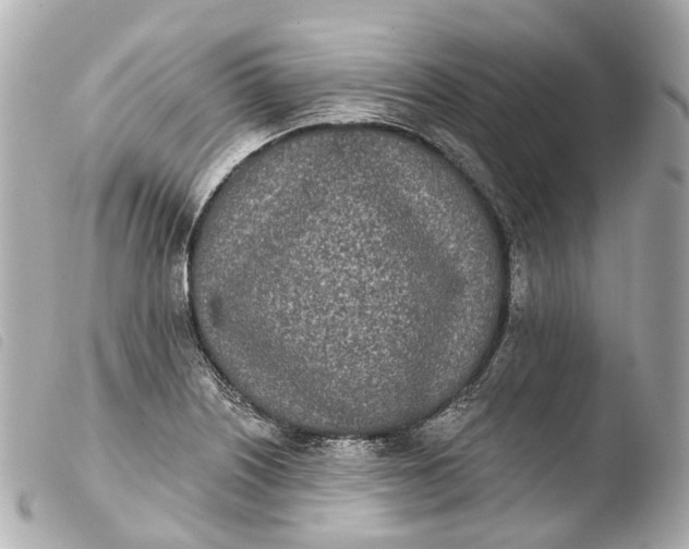 X0000103911226200810031205