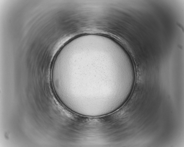 X0000103911231200810031205