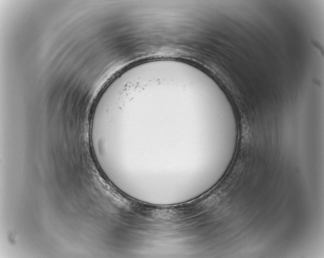X0000103911232200810031205