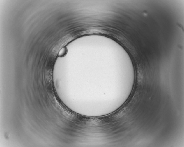 X0000103911233200810031205